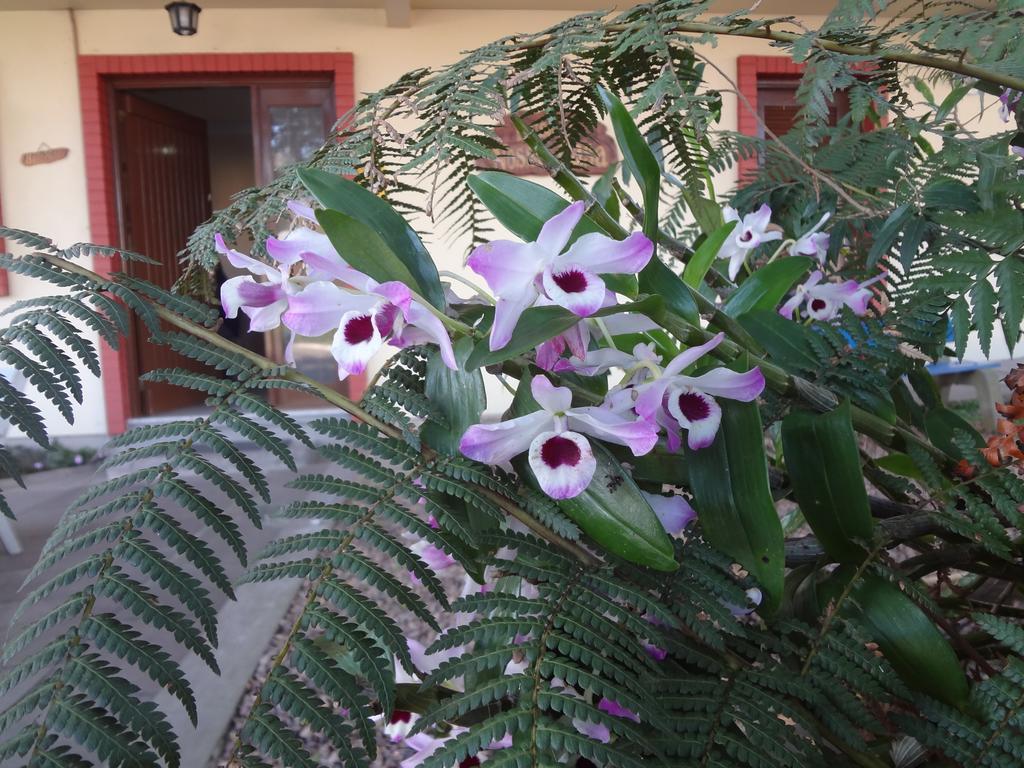 Pousada Floratta Nossa Casa Gramado Buitenkant foto